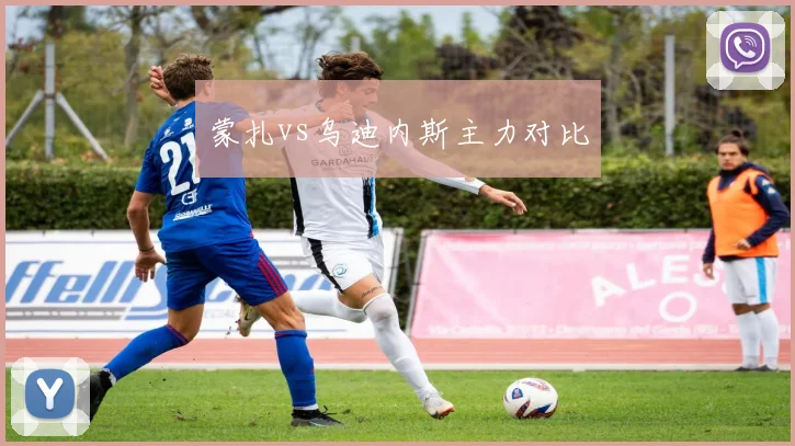 蒙扎vs乌迪内斯主力对比