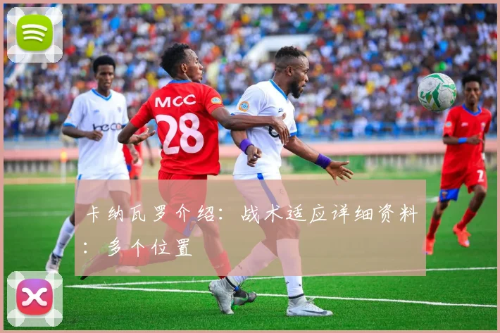卡纳瓦罗介绍：战术适应详细资料：多个位置