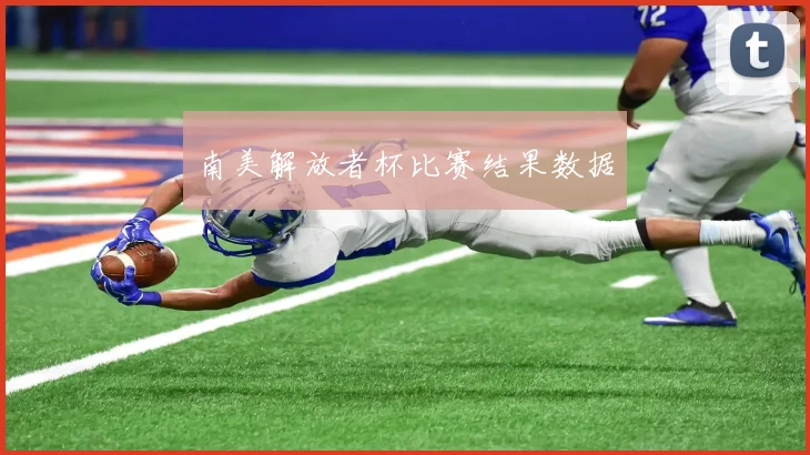 南美解放者杯比赛结果数据