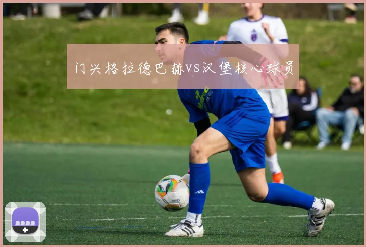门兴格拉德巴赫vs汉堡核心球员